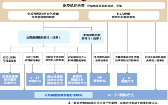 選擇哪種細胞進行治療